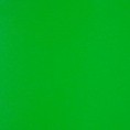 Пищевой краситель Зеленый, 5грамм